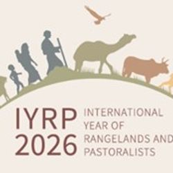 IYRP Logo 