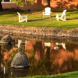 Three white Adirondack chairs on the north bank of the mill stream on the Willamette University campus reflect on the surface of the wind rippled water as one duck swims by and another stands on a large rock in the stream.
