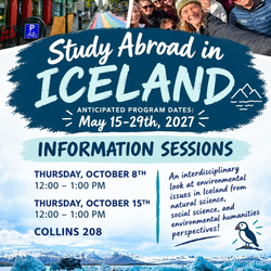 Summer Iceland poster