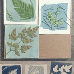 An image of cyanotype prints developing and the resulting photographs.