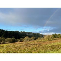 Rainbow at Willamette University at Zena