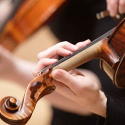 closeup of a person playing a violin