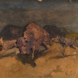 C. S. Price (American, 1874-1950), Untitled (Coyotes Chasing Buffalo), c. 1905, watercolor on paper, 7 5/8 x 10 1/4 inches, collection of the Hallie Ford Museum of Art, Willamette University, Salem, Oregon, Gift of Frances Price Cook, 2006.005.004. Photo credit: Dale Peterson.